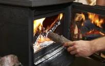 Anh cấm bán than củi và gỗ tươi
