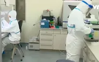 Việt Nam phân lập thành công nCoV - Tiền đề cho việc phát triển vaccine phòng chống Corona