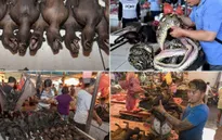 Chợ tại Indonesia "hồn nhiên" bán thịt rắn, dơi, chuột bất chấp dịch COVID-19