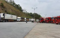 Đối phó dịch COVID-19: Đề xuất giảm giá BOT "mở đường" cho nông sản Việt