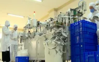 Tuân thủ những nguyên tắc “vàng” trong trong sản xuất khẩu trang y tế