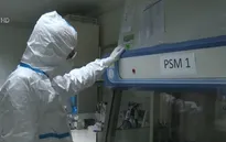 Pháp thử nghiệm vaccine phòng COVID-19