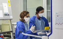 Dịch COVID-19 xuất hiện ở 119 quốc gia và vùng lãnh thổ