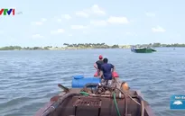 Xâm nhập mặn đạt đỉnh, người dân ĐBSCL chủ động tích trữ nước ngọt