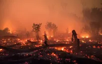 Indonesia làm mưa nhân tạo để chống cháy rừng