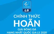 Hoãn tổ chức giải bóng đá Hạng nhất Quốc gia LS 2020
