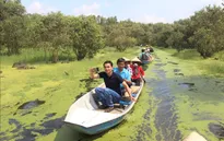 An Giang tạm dừng đón khách quốc tế