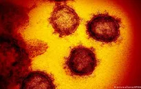 Nga giải mã thành công đầy đủ bộ gene của virus SARS-CoV-2