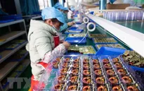Tác động tiêu cực của dịch COVID-19 đối với kinh tế thế giới ngày càng lớn