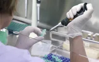 Mỹ: Tỷ lệ nhiễm COVID-19 giữa người trẻ và người cao tuổi tương đương