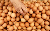 Giá trứng tại Mỹ tăng mạnh
