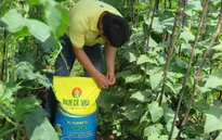 Ký kết hợp tác sản xuất phân bón hữu cơ