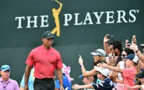 Tiger Woods không dự The Players Championship 2020