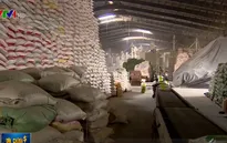 Một số DN hủy thầu gạo dự trữ quốc gia để xuất khẩu
