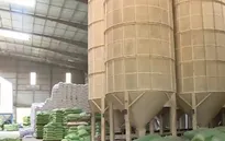 Có hay không việc một số doanh nghiệp từ chối hợp đồng gạo dự trữ quốc gia chuyển sang xuất khẩu?