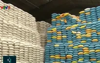 Một số doanh nghiệp không bán gạo cho dự trữ Nhà nước