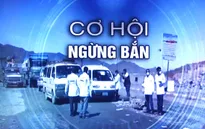 Cơ hội cho lệnh ngừng bắn toàn cầu