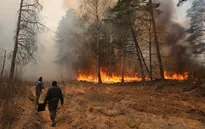 Ukraine: Ô nhiễm không khí nghiêm trọng do cháy rừng