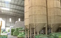 Thủ tướng yêu cầu thanh tra đột xuất về xuất khẩu gạo
