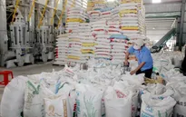 Thêm 38.000 tấn gạo được xuất khẩu trong hạn ngạch tháng 4