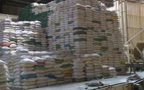 22 doanh nghiệp mở tờ khai xuất khẩu gạo nhưng không có giá trị làm thủ tục hải quan