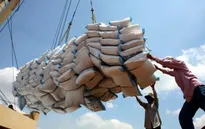 Bộ Công Thương kiến nghị bỏ hạn ngạch xuất khẩu gạo
