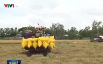 Bỏ cơ chế hạn ngạch - gỡ khó cho doanh nghiệp xuất khẩu gạo