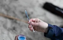 Thuốc kháng ký sinh trùng diệt được virus SARS-CoV-2 trong phòng thí nghiệm