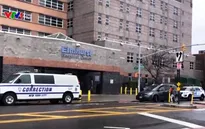 Khả năng dịch COVID-19 sớm lập đỉnh ở New York
