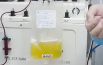 Huyết tương người khỏi bệnh có tác dụng trong điều trị COVID-19