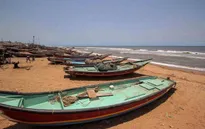 Siêu bão Amphan sắp đổ bộ miền Đông Ấn Độ và Bangladesh