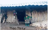 Cụ bà 77 tuổi cùng 2 cháu mồ côi nương tựa dưới căn nhà tranh sắp sập