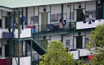 Lao động nhập cư - Ổ dịch COVID-19 tại Singapore