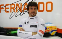 Người hâm mộ muốn Fernando Alonso trở lại F1