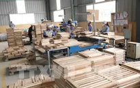 Ngành gỗ đề xuất giải pháp gỡ khó của doanh nghiệp trong điều kiện bình thường mới