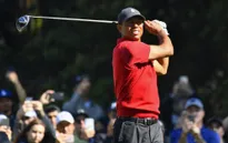 Tiger Woods sẽ không tham dự RBC Heritage 2020