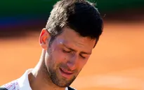Djokovic bị loại khỏi Adria Cup