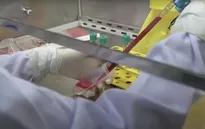 Vaccine COVID-19 của Trung Quốc sinh kháng thể mạnh trên 1.100 người