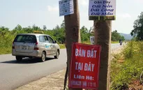 Giá nhà đất tăng trên diện rộng