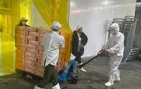 Vải thiều Việt xuất đi Nhật Bản bán giá bao nhiêu?