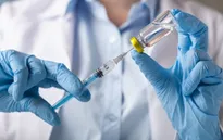 Thái Lan tiêm liều vaccine thứ hai thử nghiệm phòng COVID-19 lên khỉ