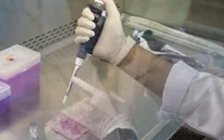 Mỹ sẽ có 100 triệu liều vaccine COVID-19 vào cuối năm 2020