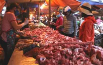 Hạ nhiệt sau nhiều ngày "cố thủ": Thịt lợn giá rẻ sắp không chỉ còn có trên tivi