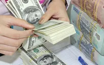 "Hô biến" lãi thành lỗ và chiêu chuyển giá của các doanh nghiệp FDI