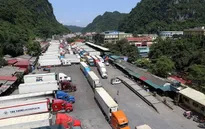 Chi phí logistics chiếm tới 25% tổng giá trị nông sản