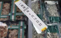 Trung Quốc phát hiện virus SARS-CoV-2 trên bao bì nhập khẩu