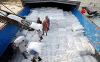 Doanh nghiệp xuất khẩu gạo tái sản xuất, vượt khó sau dịch