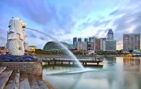 Việc làm trong lĩnh vực công nghệ "lên ngôi" tại Singapore