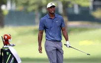 Tiger Woods chật vật tại vòng 2 giải golf The Memorial 2020
