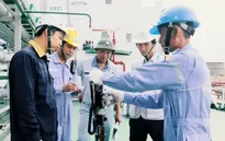 Vinacontrol không cấp giấy chứng nhận xuất xứ C/O giả